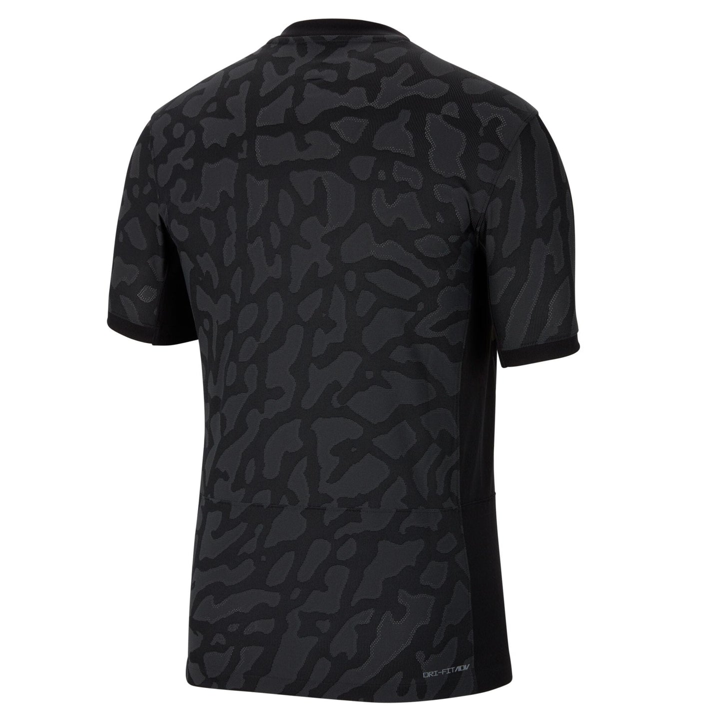 Paris Saint-Germain 23/24 Match Third Jersey (DX9759-069)