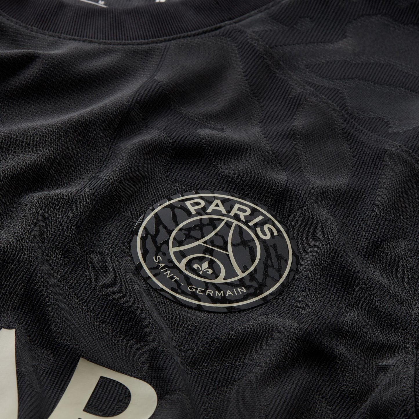 Paris Saint-Germain 23/24 Match Third Jersey (DX9759-069)
